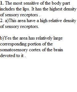 Lab 4 A Sensory Physiology Worksheet